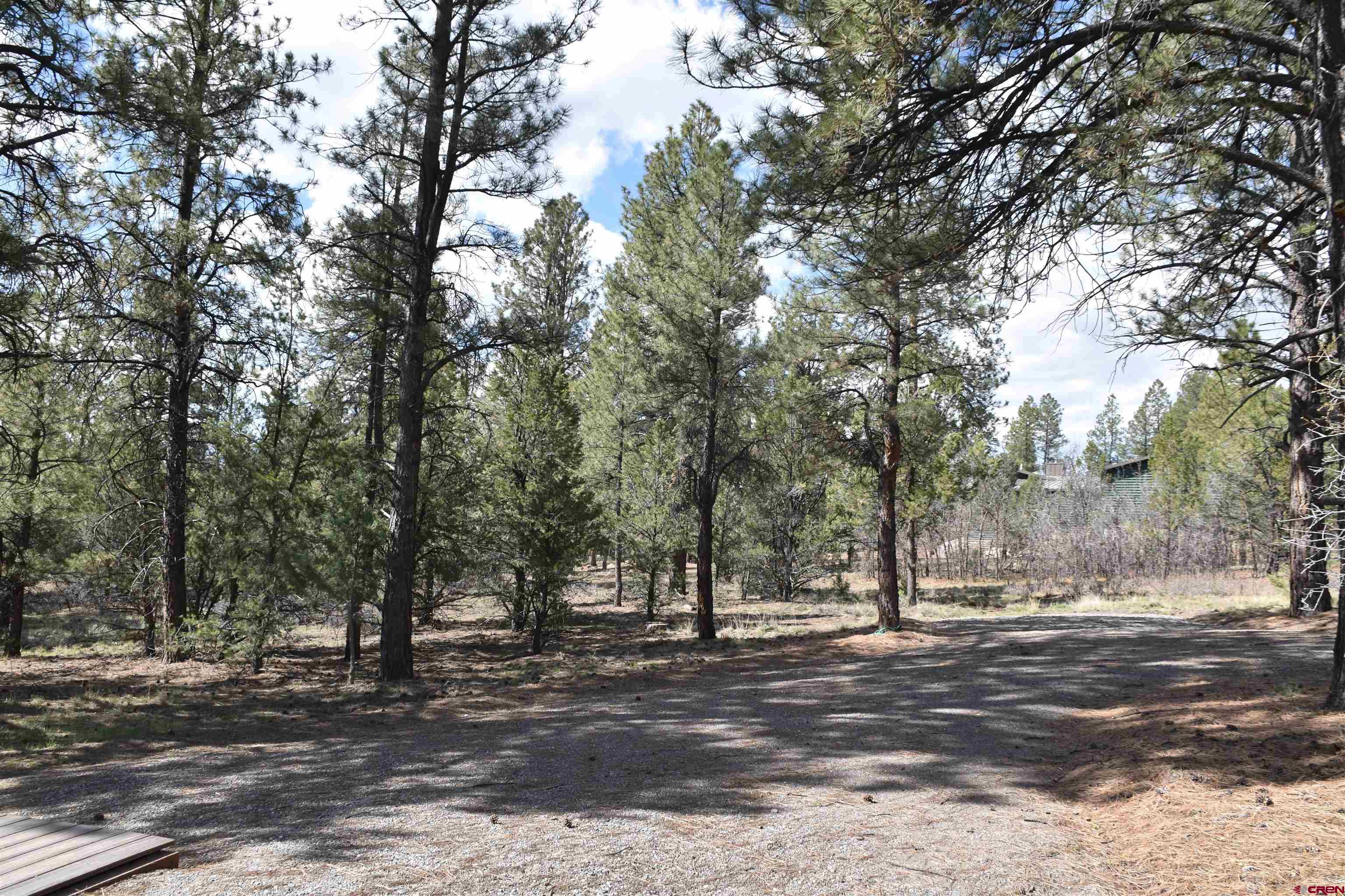 141 Big Canyon Point Ridgway, CO 81432 - Photo 7 of 31