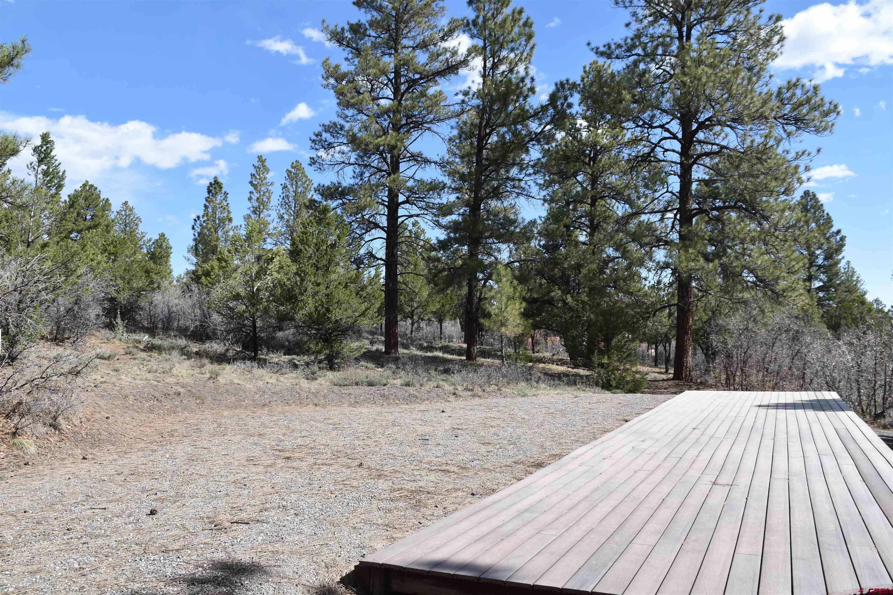 141 Big Canyon Point Ridgway, CO 81432 - Photo 8 of 31 a view of backyard with wooden fence