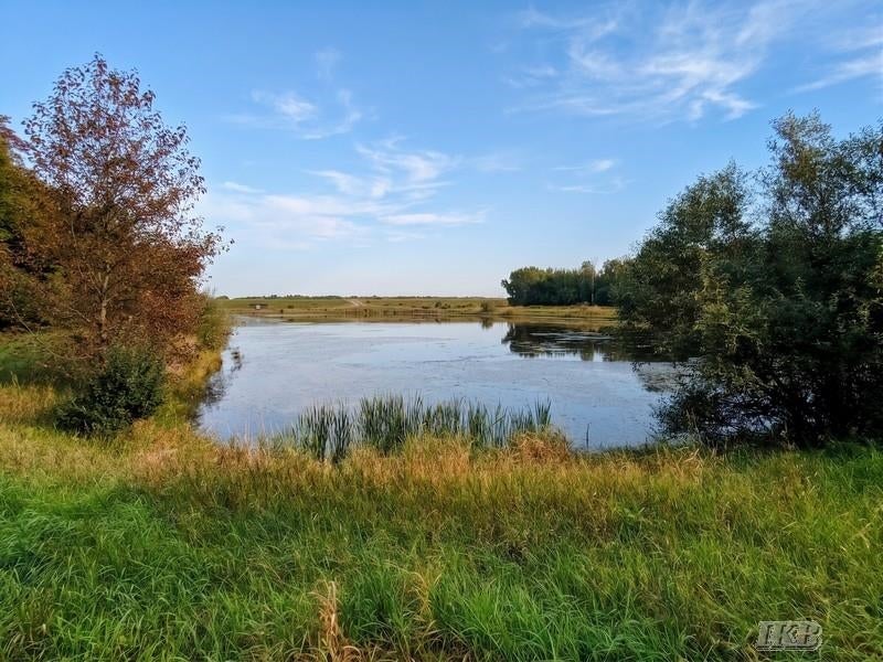 35.11-acres North Hockaday Road Gladwin, MI 48624 - Photo 7 of 83 Gallery Image 7
