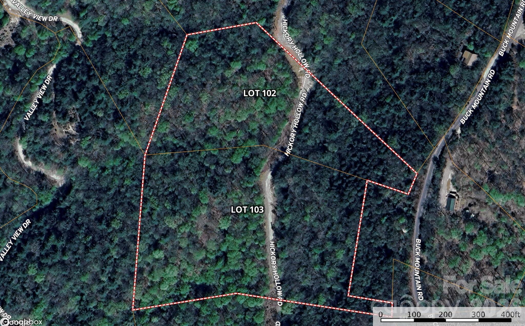 Tbd Hickory Holw Road, Unit 102 & 103 Purlear, NC 28665 - Photo 11 of 41 a backyard of a house with lots of green space and plants