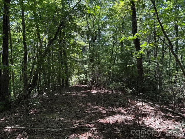 $119,900 | Tbd Hickory Holw Road, Unit 102 & 103, Purlear, NC 28665