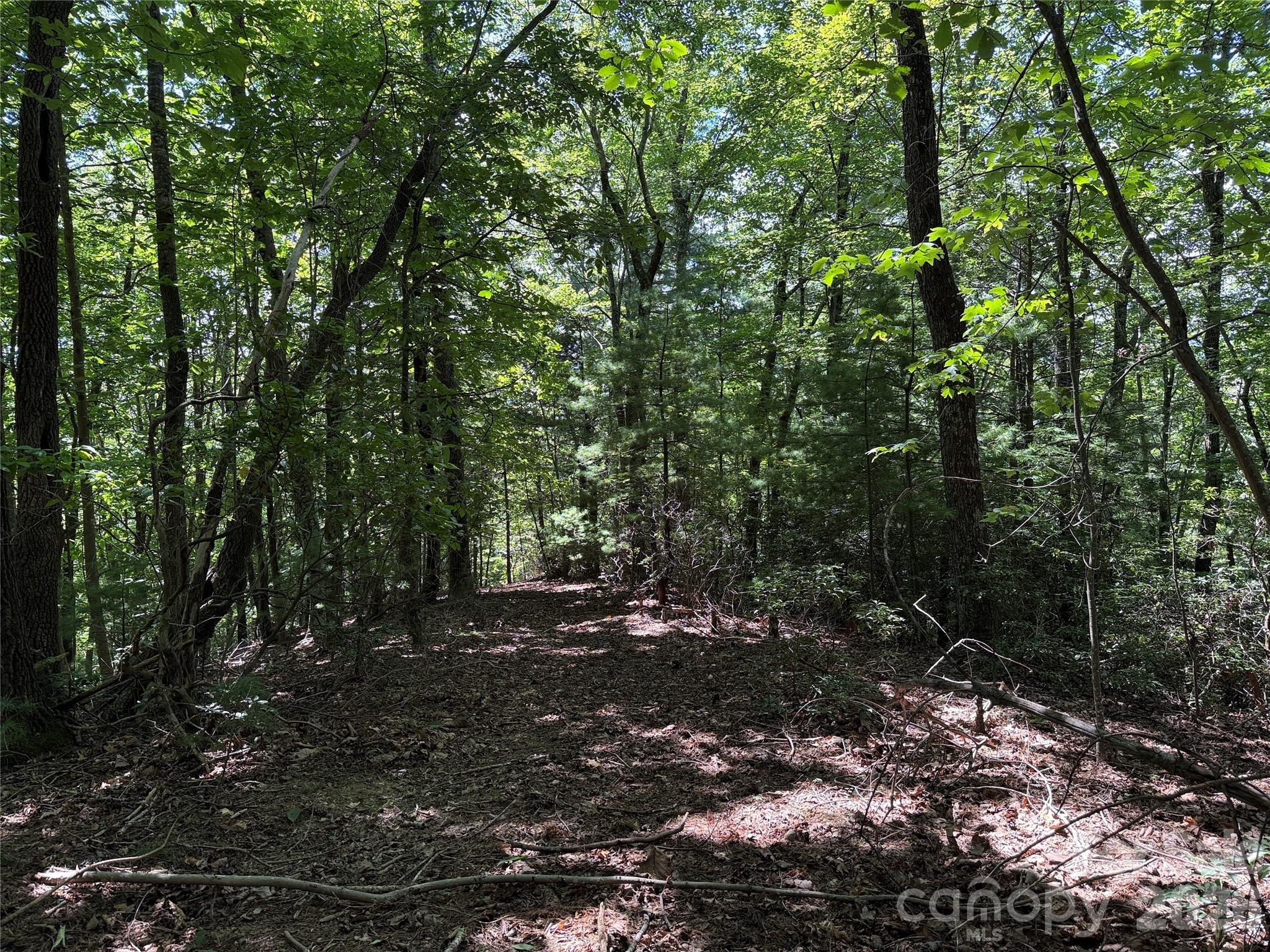 Tbd Hickory Holw Road, Unit 102 & 103 Purlear, NC 28665 - Photo 14 of 41 a view of outdoor space and trees