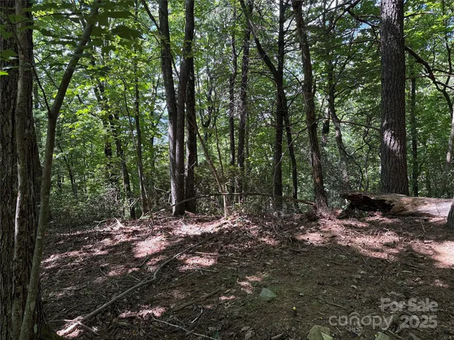 a view of outdoor space and trees
