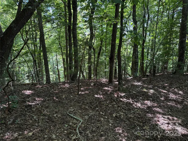 a view of outdoor space with lots of trees