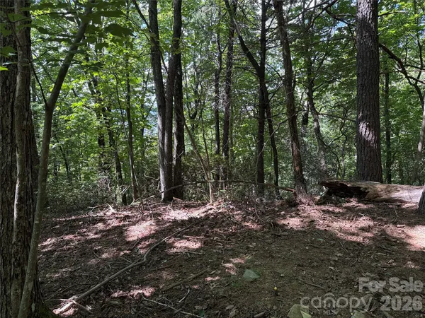 a view of outdoor space and trees