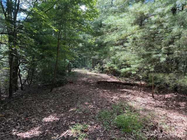 $119,900 | Tbd Hickory Holw Road, Unit 102 & 103, Purlear, NC 28665