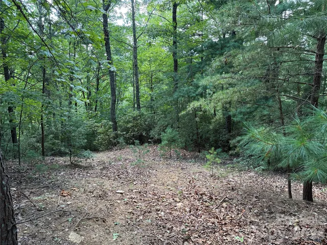 $119,900 | Tbd Hickory Holw Road, Unit 102 & 103, Purlear, NC 28665