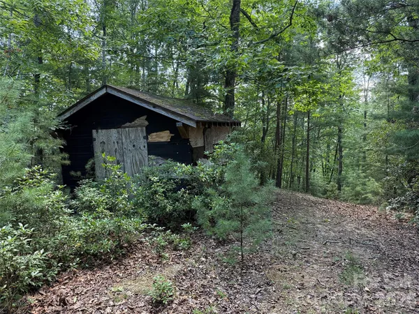a view of a wooden house with a yard and large trees