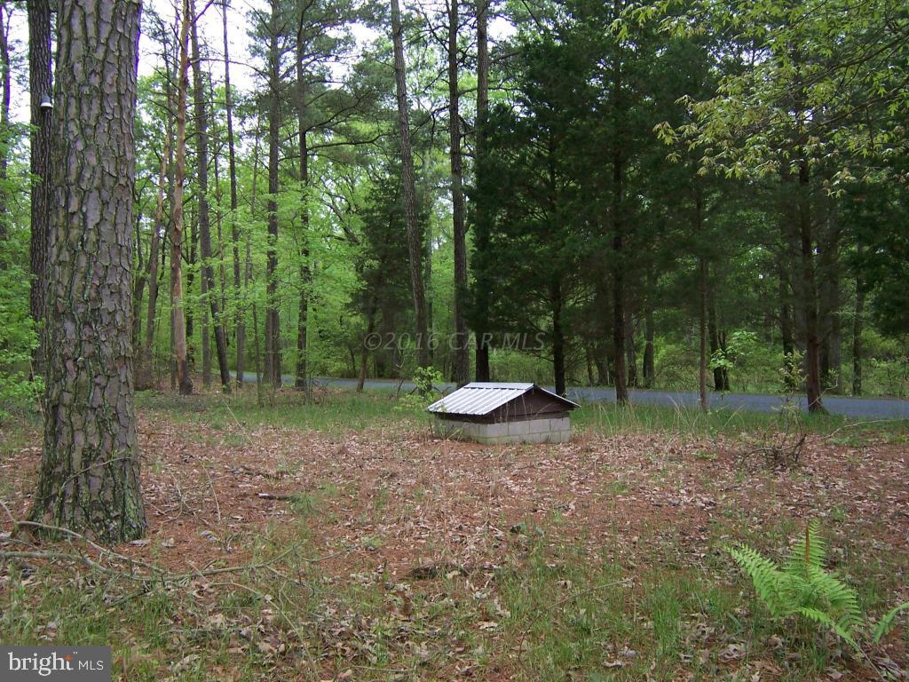 22732 Royal Oak Road Quantico, MD 21856 - Photo 3 of 3 a view of a yard with a trampoline
