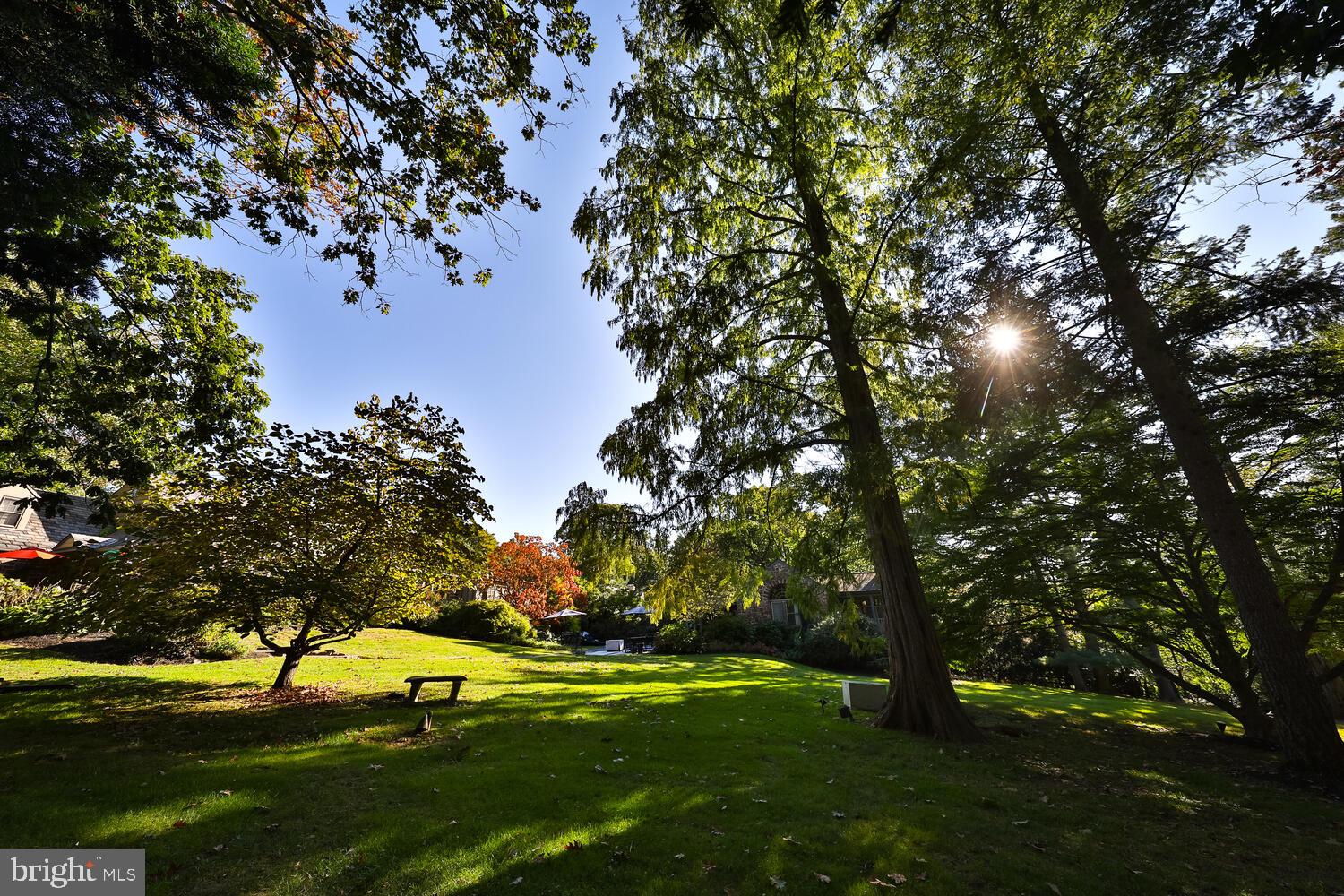 1417 Scrope Road Rydal, PA 19046 - Photo 66 of 77 Back Yard