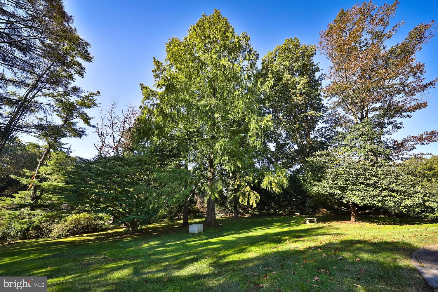 1417 Scrope Road Rydal, PA 19046 - Photo 68 of 77 Back Yard