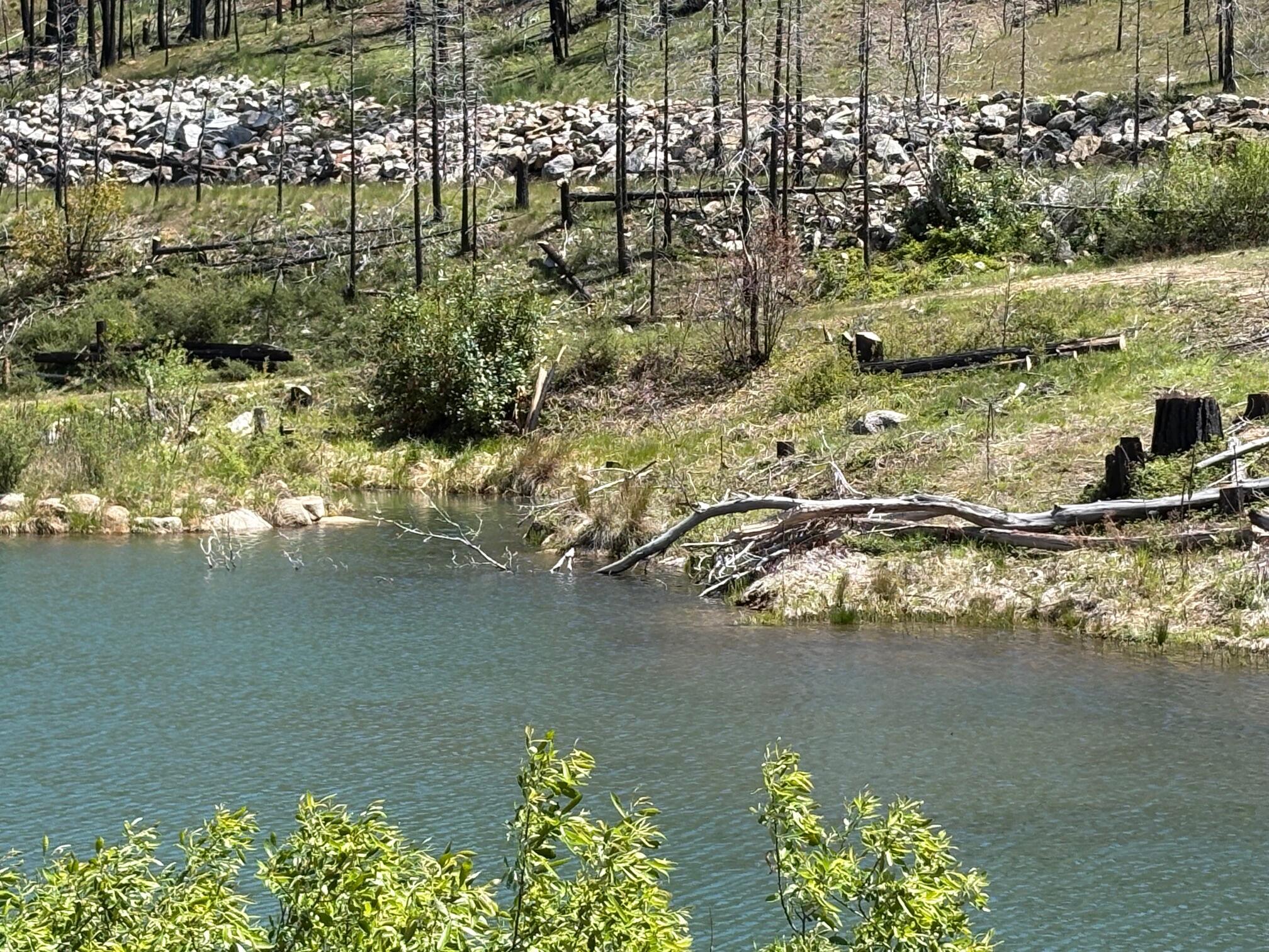 2103 Coffee Creek Road Trinity Center, CA 96091 - Photo 49 of 49