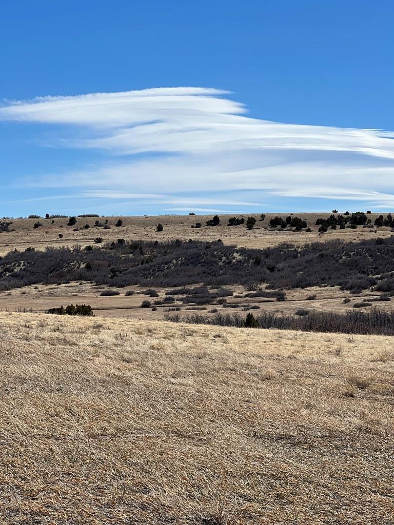Lot 381 Big Bend Rye, CO 81069 - Photo 10 of 19 Gallery Image 10