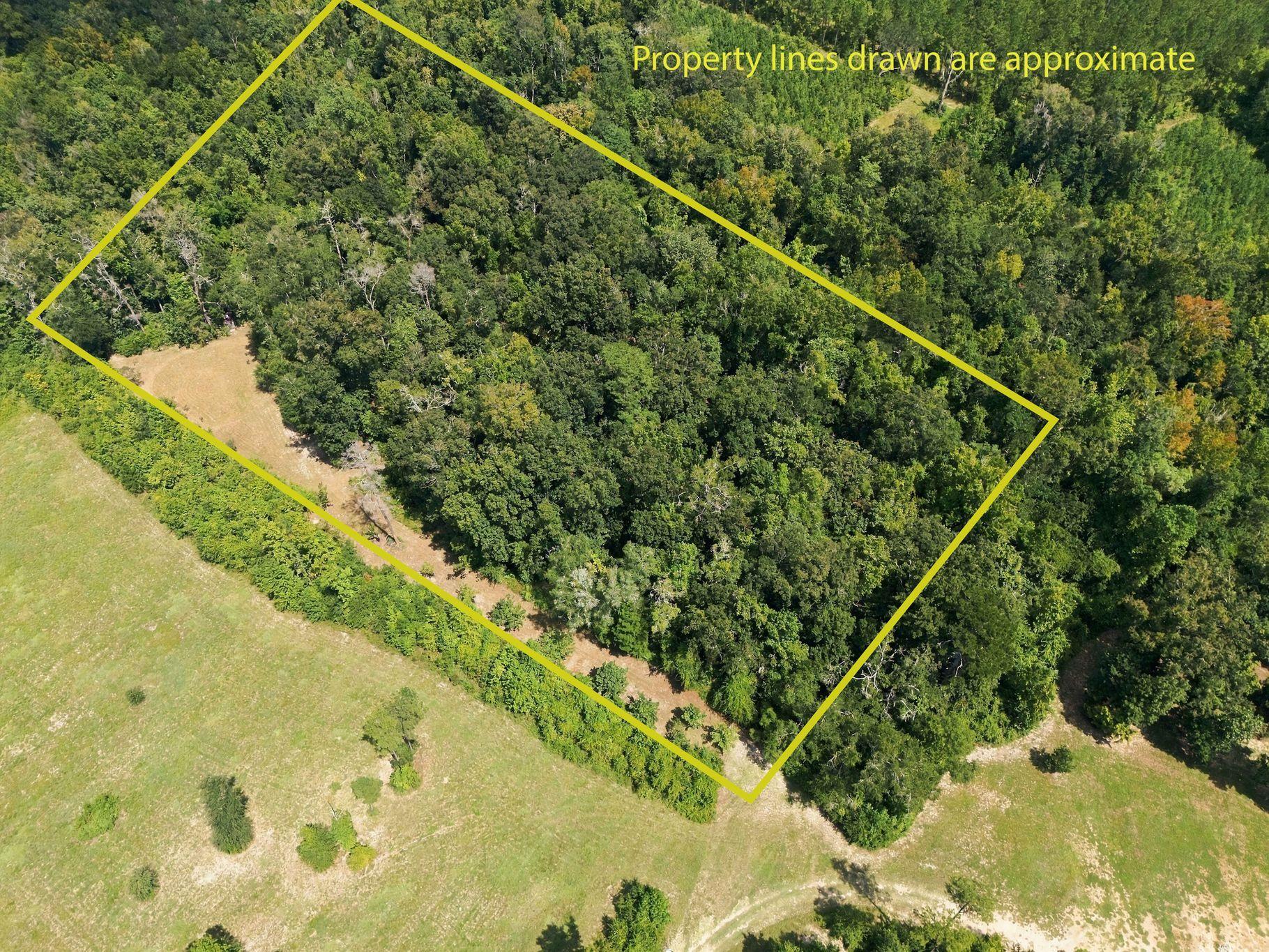 Lot 16 Johnny Road Lamont, FL 32336 - Photo 3 of 54 Gallery Image 3