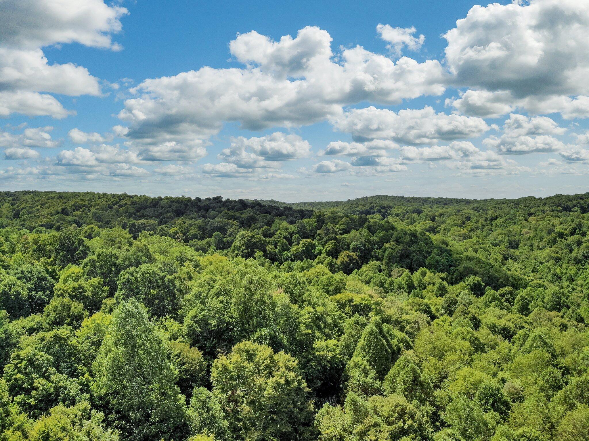 1162 Boswell Run Road Piketon, OH 45661 - Photo 10 of 20 4-web-or-mls-1162-boswell-run-rd