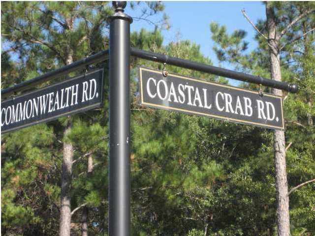 3666 Coastal Crab Road Mount Pleasant, SC 29466 - Photo 6 of 7 Additional Photo