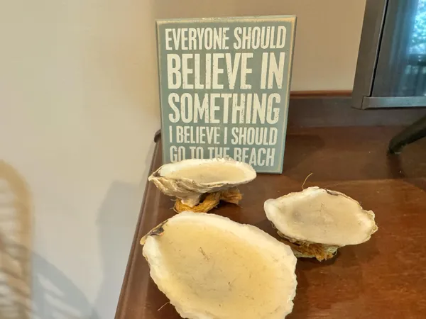 $3,950 | 2523 Oleander Street, St. Augustine, FL 32080