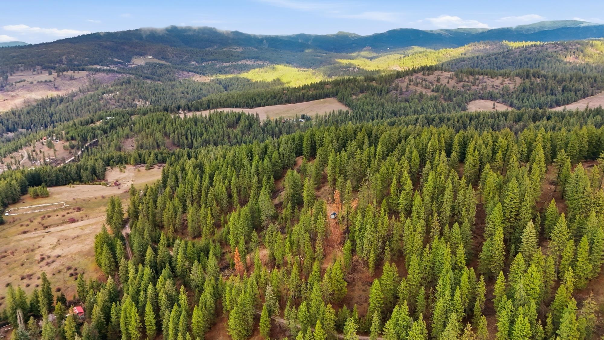 Xxx North Timberlane Circle Mead, WA 99021 - Photo 17 of 18