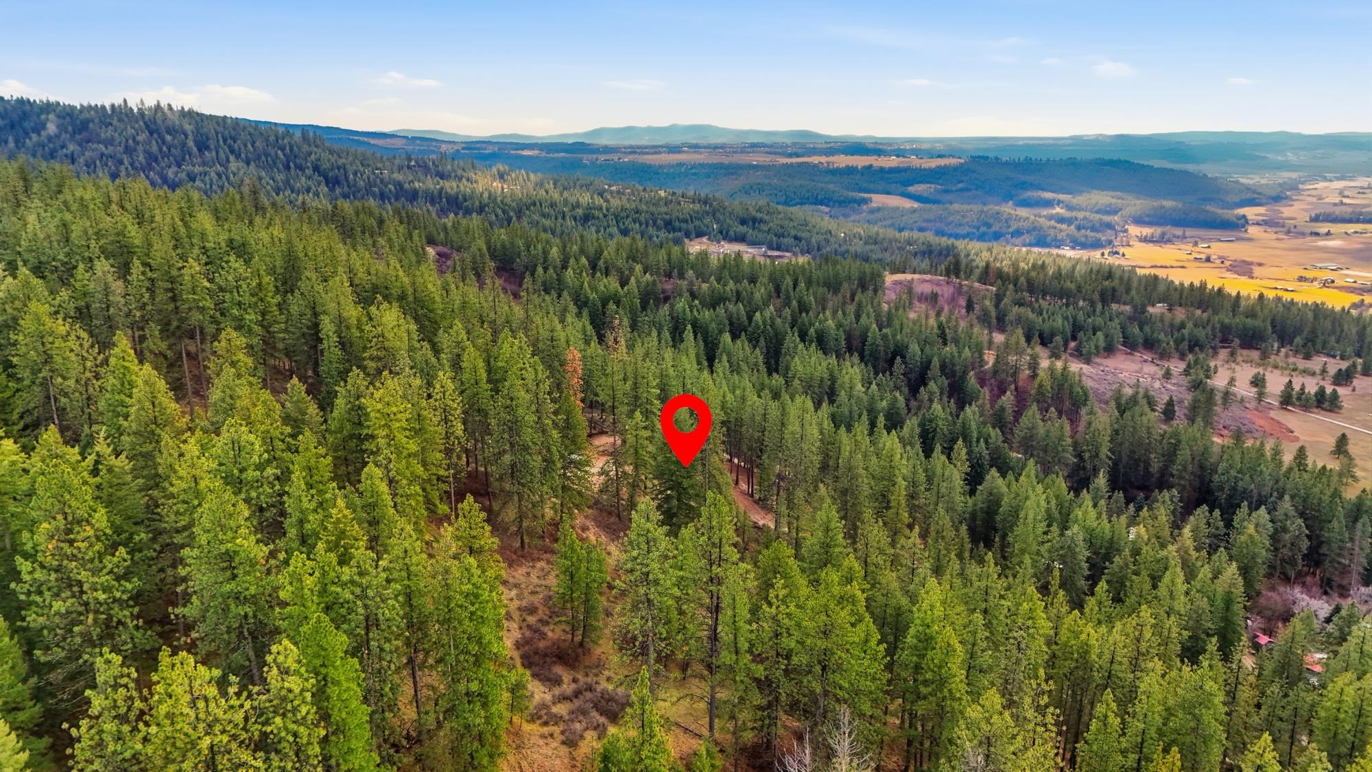 Xxx North Timberlane Circle Mead, WA 99021 - Photo 8 of 18