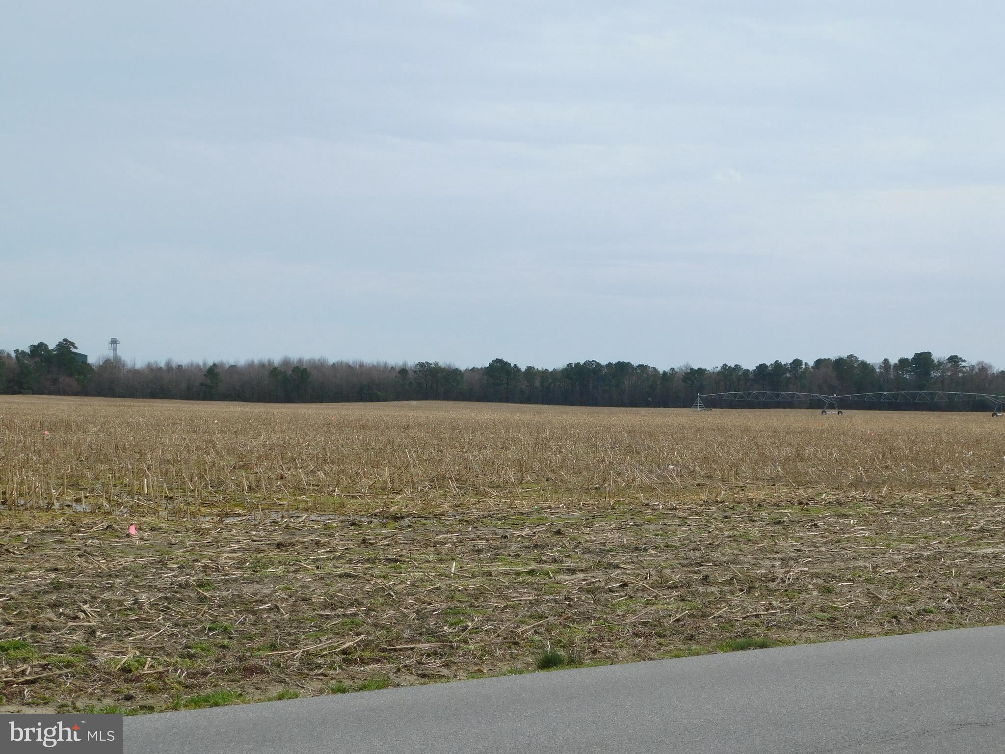 Lot 3 Johnson Road Seaford, DE 19973 - Photo 1 of 12 Gallery Image 1