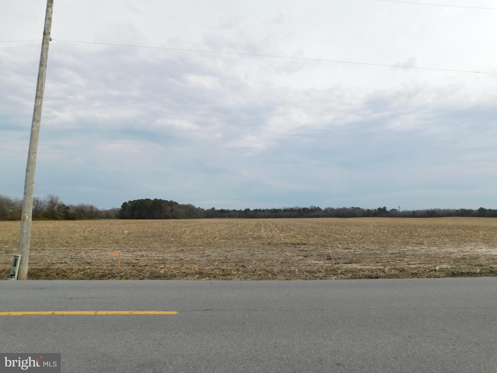 Lot 3 Johnson Road Seaford, DE 19973 - Photo 4 of 12 Gallery Image 4