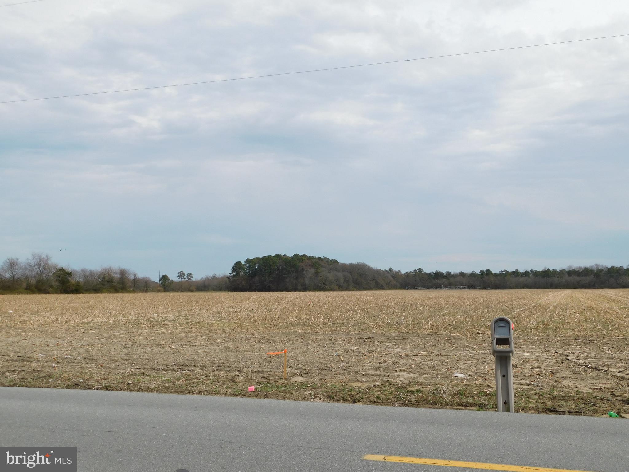 Lot 3 Johnson Road Seaford, DE 19973 - Photo 7 of 12 Gallery Image 7