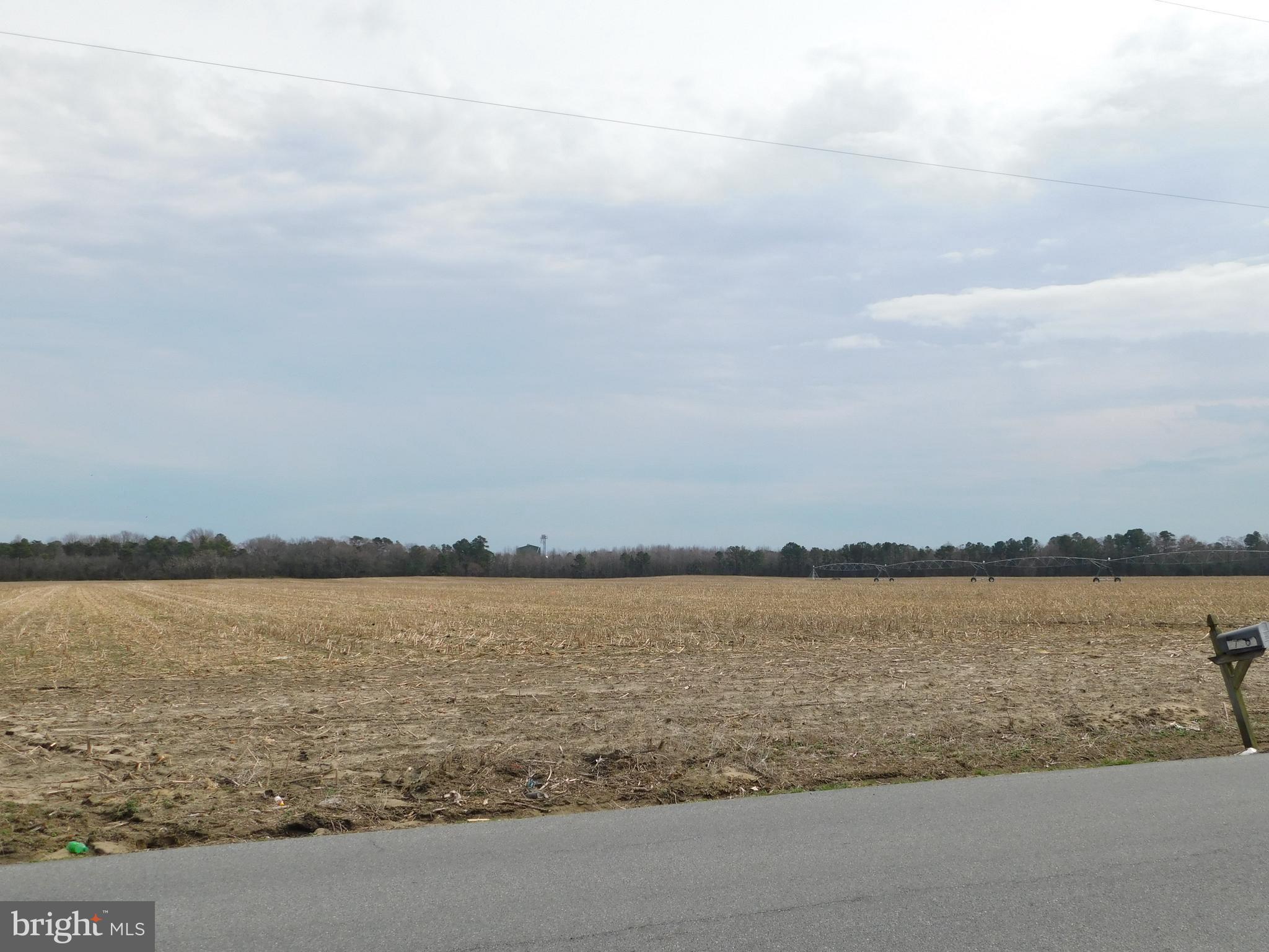Lot 3 Johnson Road Seaford, DE 19973 - Photo 10 of 12 Gallery Image 10