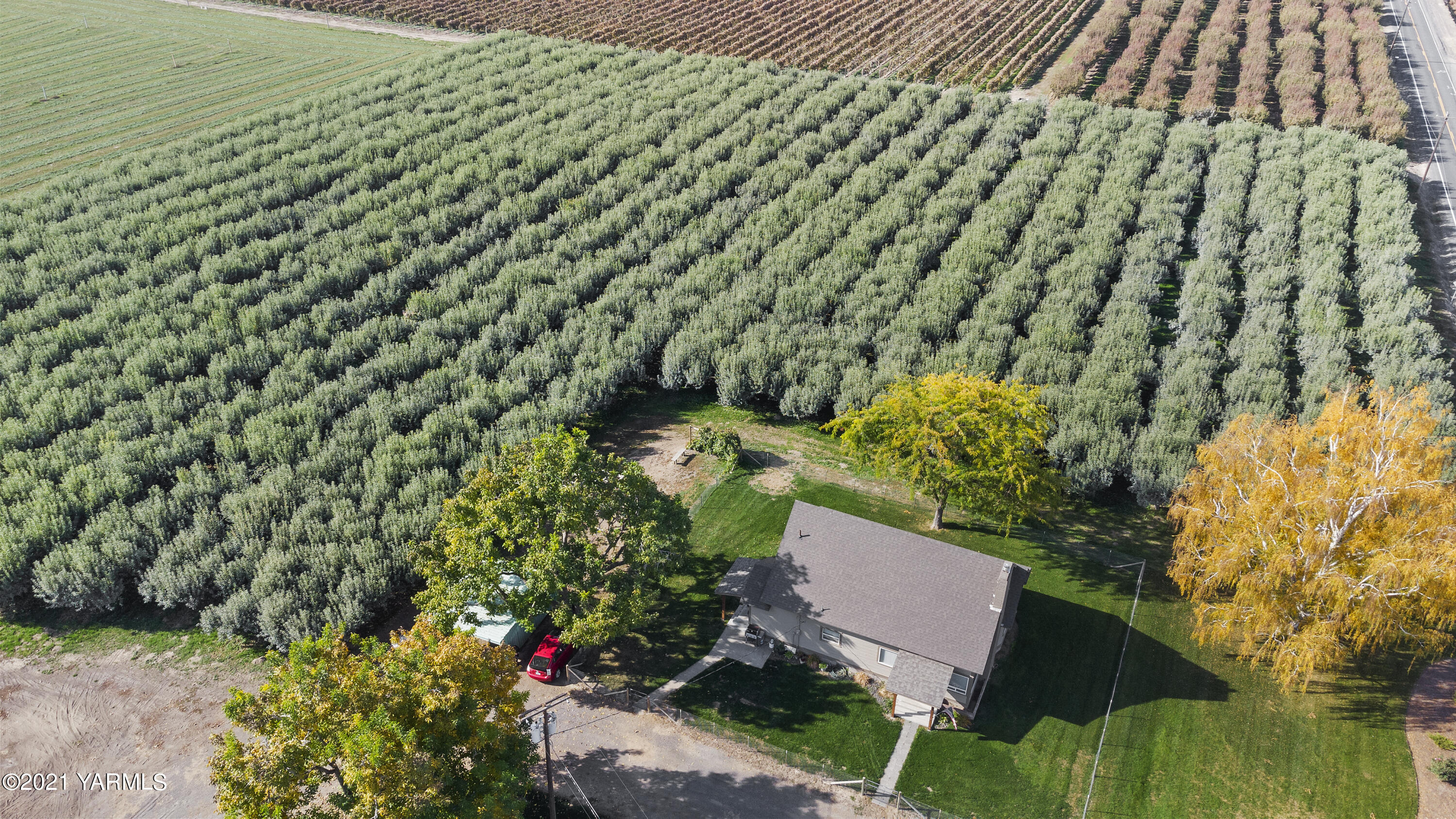 4171 Sheller Road Sunnyside, WA 98944 - Photo 23 of 28 a view of a yard with plants and large trees