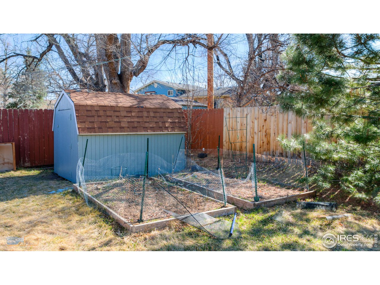 3682 Chase Court Boulder, CO 80305 - Photo 12 of 38 More garden areas and shed