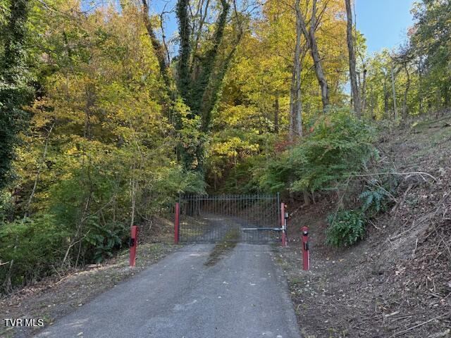 Tbd Clifton Road Bristol, TN 37620 - Photo 1 of 19 IMG_1870