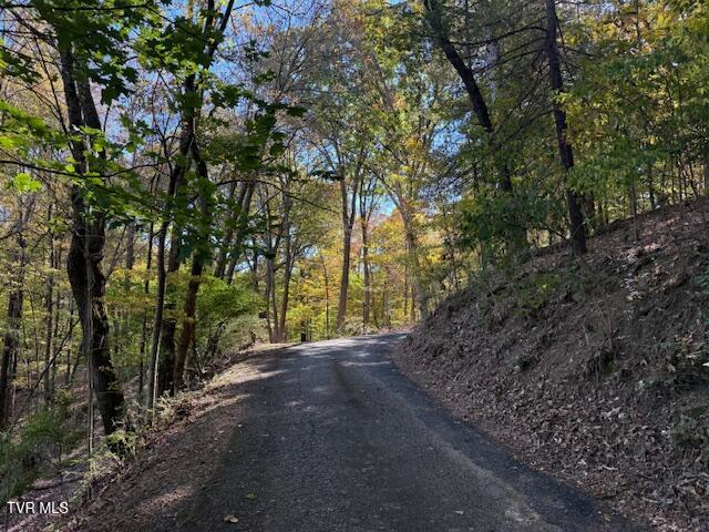 Tbd Clifton Road Bristol, TN 37620 - Photo 11 of 19 IMG_1865