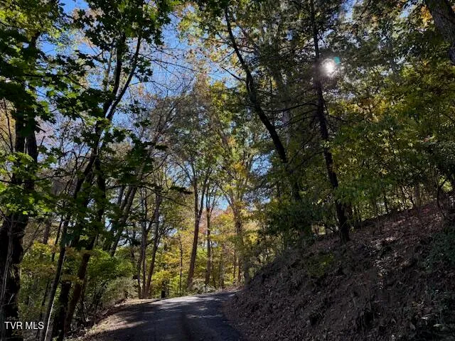 $199,000 | Tbd Clifton Road, Bristol, TN 37620