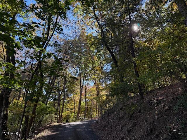 Tbd Clifton Road Bristol, TN 37620 - Photo 13 of 19 IMG_1866