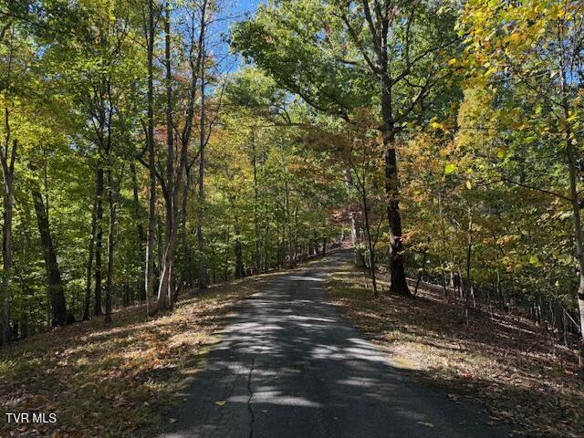Tbd Clifton Road Bristol, TN 37620 - Photo 14 of 19 IMG_1856