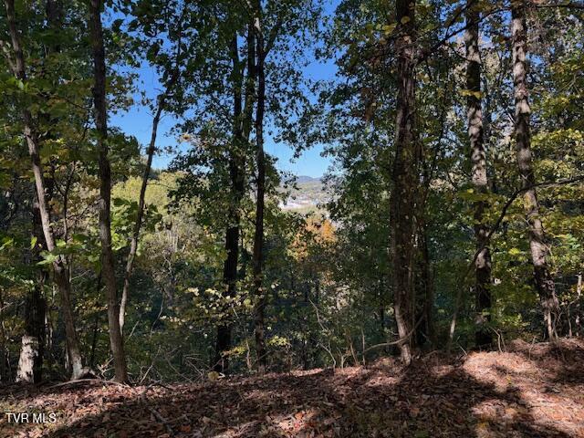 Tbd Clifton Road Bristol, TN 37620 - Photo 15 of 19 IMG_1854