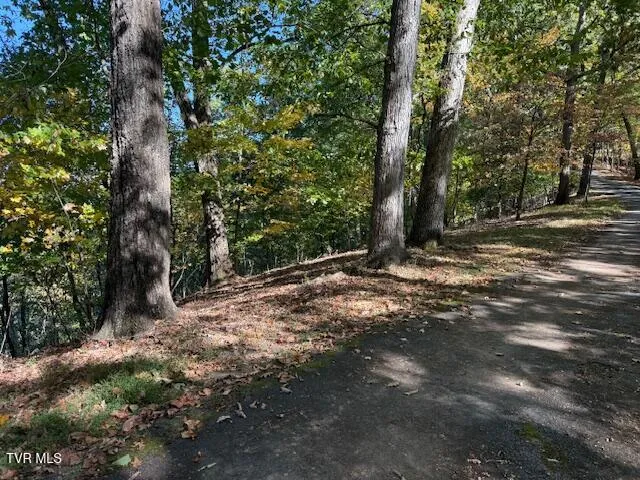 $199,000 | Tbd Clifton Road, Bristol, TN 37620