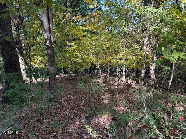 $199,000 | Tbd Clifton Road, Bristol, TN 37620