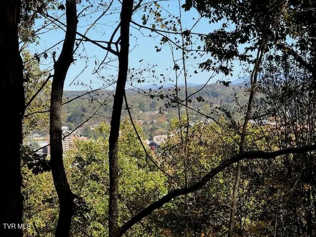 $199,000 | Tbd Clifton Road, Bristol, TN 37620