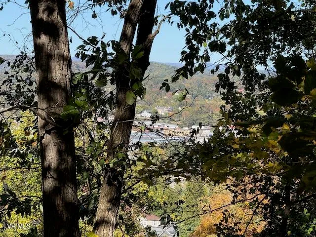 $199,000 | Tbd Clifton Road, Bristol, TN 37620