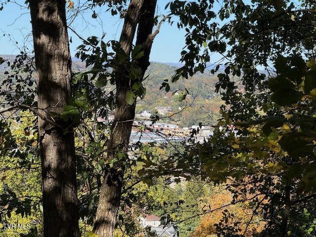 Tbd Clifton Road Bristol, TN 37620 - Photo 7 of 19 IMG_1857