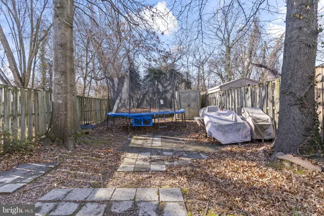 a view of a backyard with plants and trees