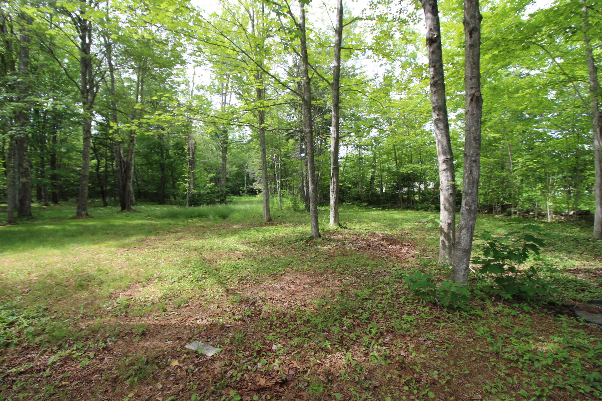 93 Denslow Road Stockton Springs, ME 04981 - Photo 74 of 91 Jim (66)