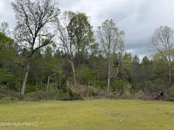 $184,000 | 1861 Highway 25, Carthage, MS 39051