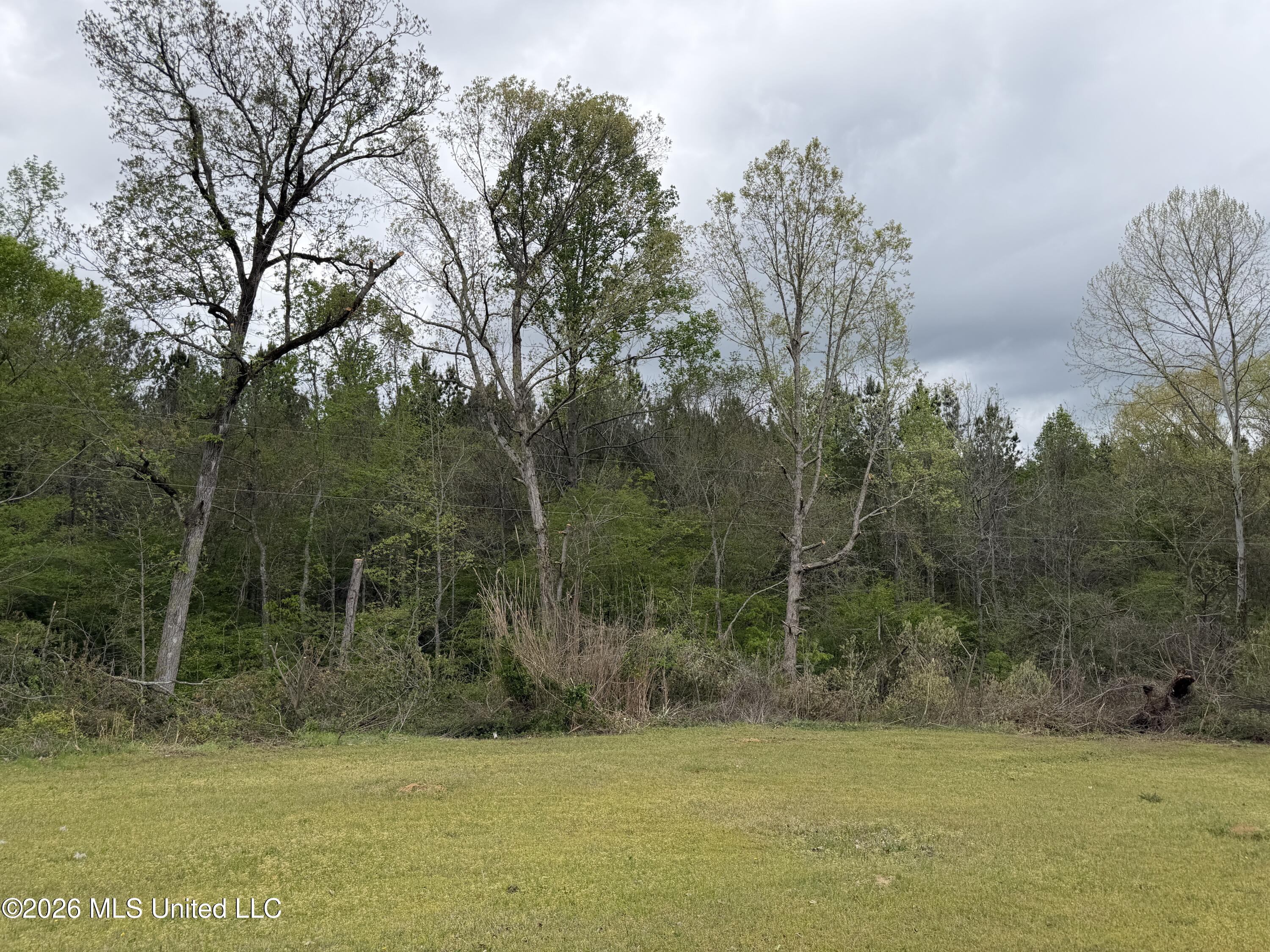 1861 Highway 25 Carthage, MS 39051 - Photo 31 of 34 IMG_2281
