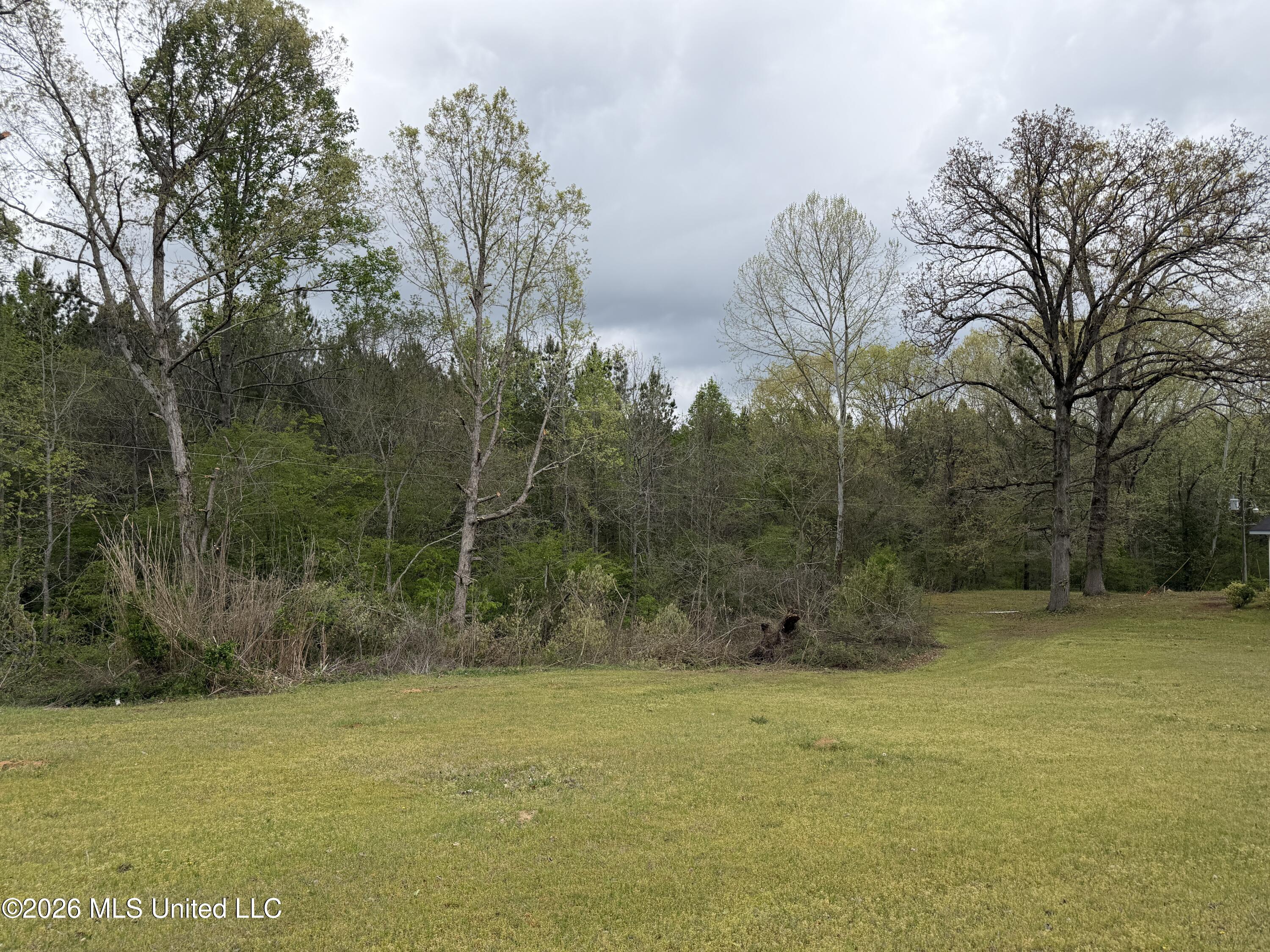 1861 Highway 25 Carthage, MS 39051 - Photo 32 of 34 IMG_2282
