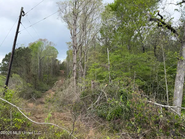 $184,000 | 1861 Highway 25, Carthage, MS 39051