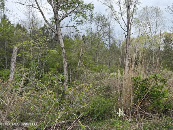 $184,000 | 1861 Highway 25, Carthage, MS 39051