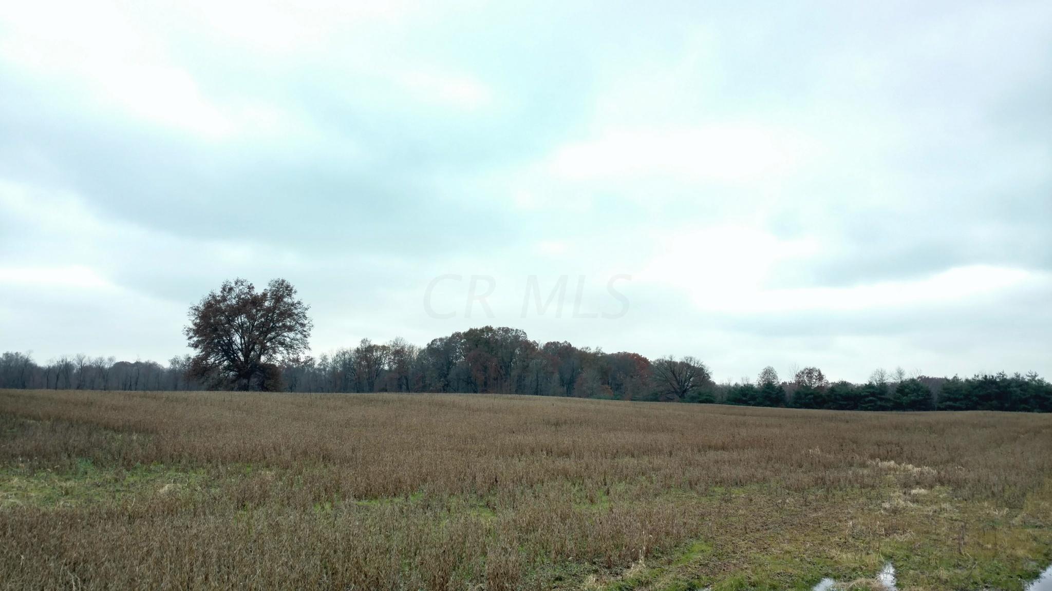 5708 Gale Road Pataskala, OH 43062 - Photo 4 of 14