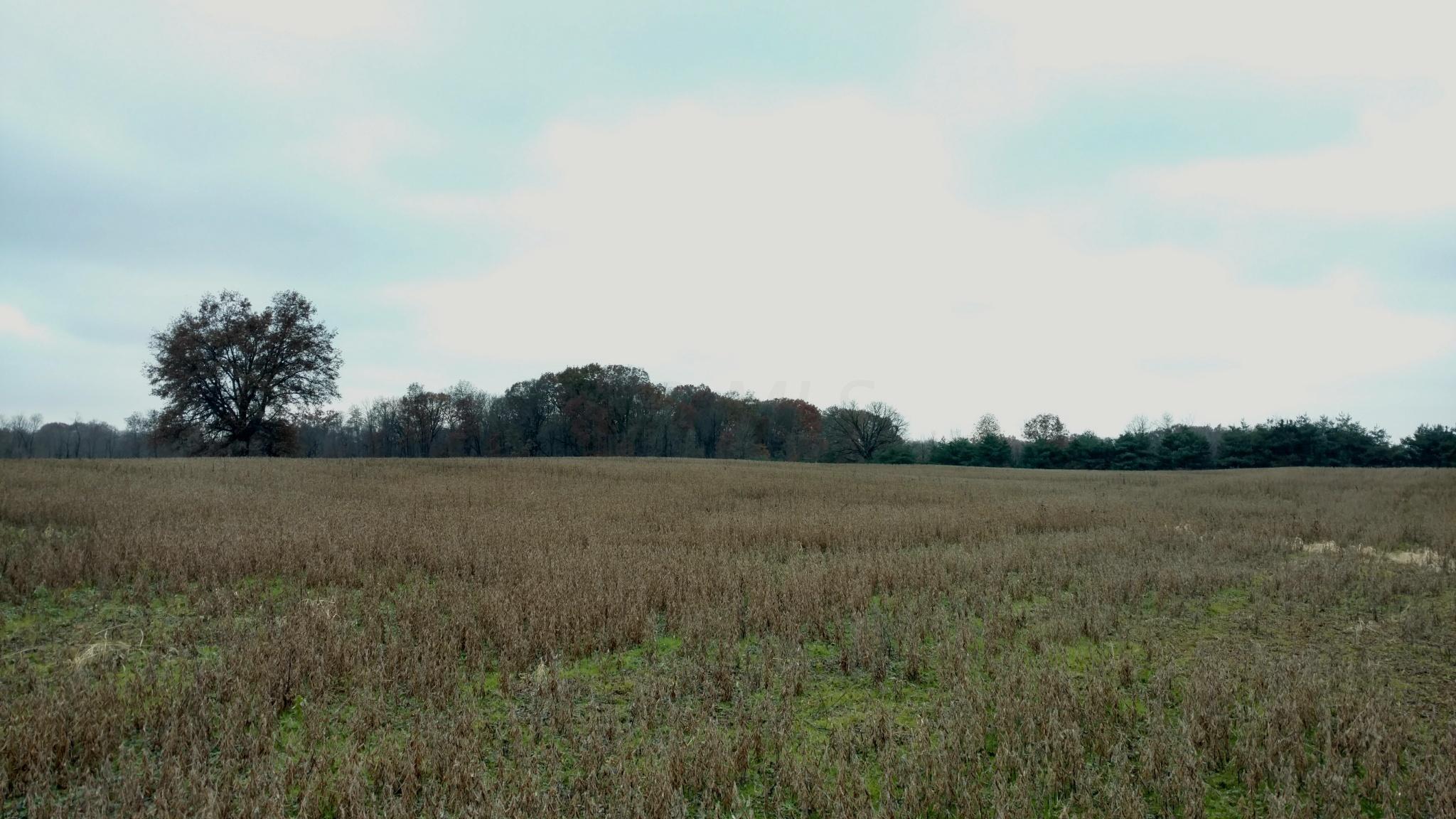 5708 Gale Road Pataskala, OH 43062 - Photo 10 of 14