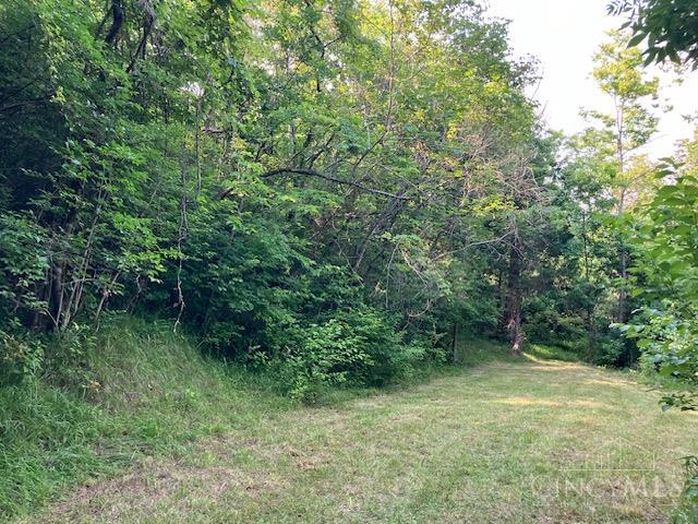 233 Felicity Cedron Rural Road Georgetown, OH 45121 - Photo 4 of 5